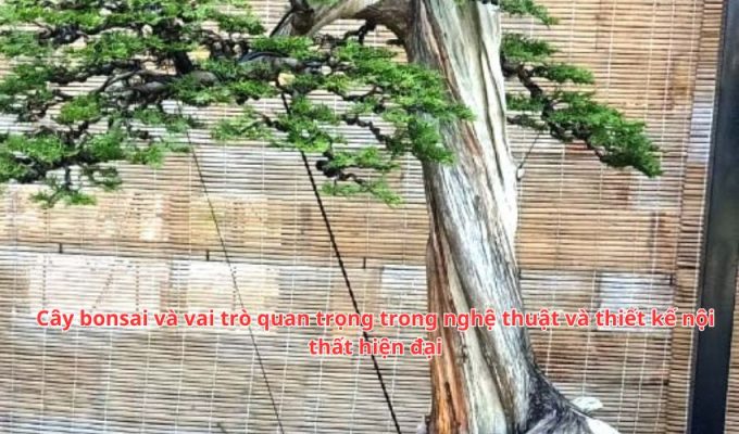 Cây bonsai và vai trò quan trọng trong nghệ thuật và thiết kế nội thất hiện đại